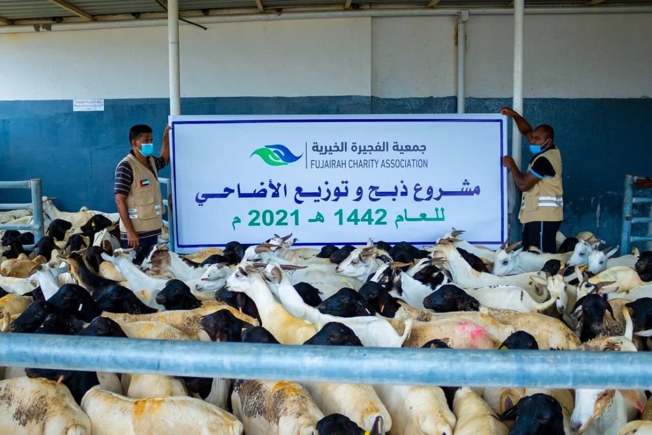 8448 اسرة استفادت من مشروع الأضاحي و كسوة العيد وسلة الفواكهة في خيرية الفجيرة