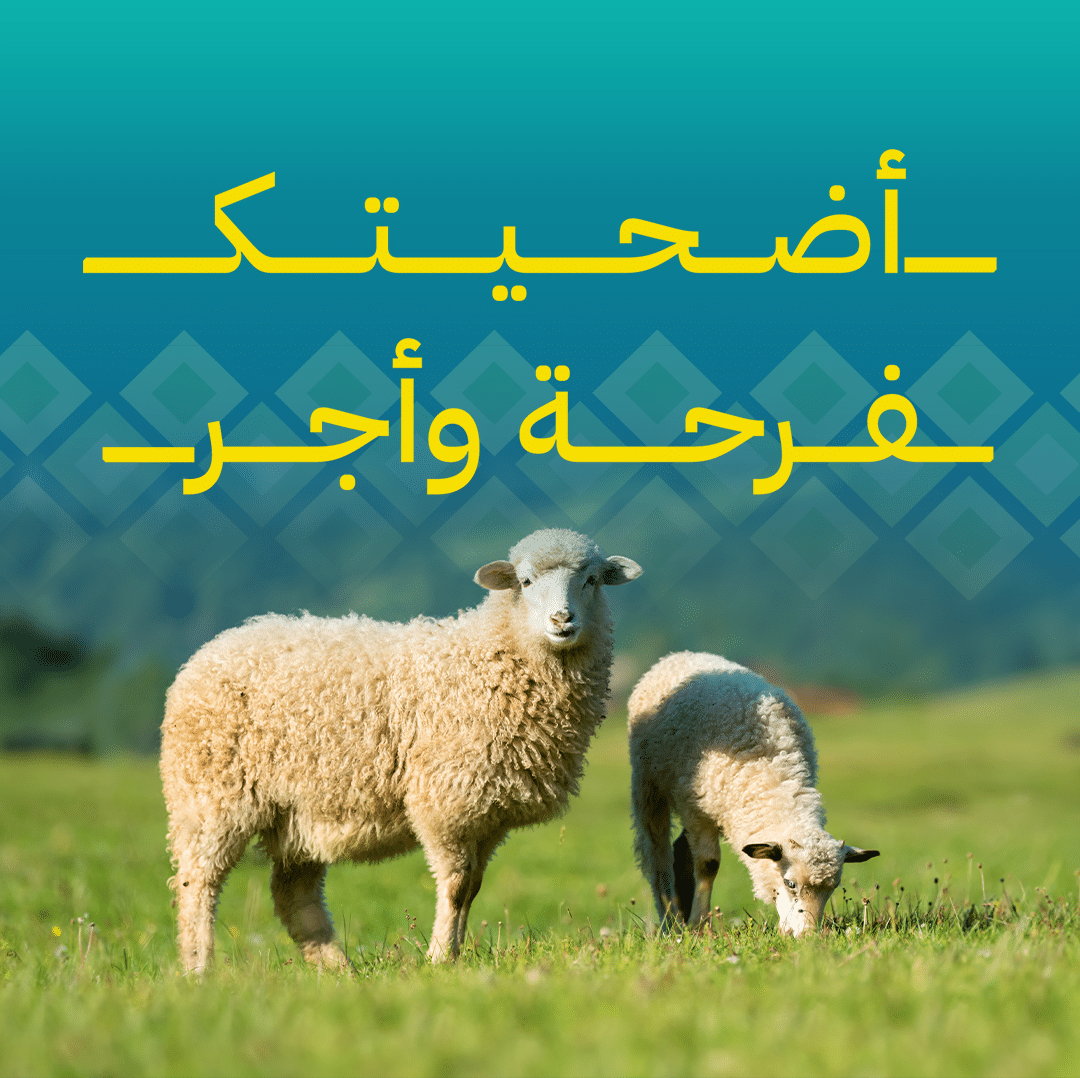 جمعية الفجيرة الخيرية | اضاحي