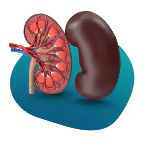 علاج مرضى الفشل الكلوي